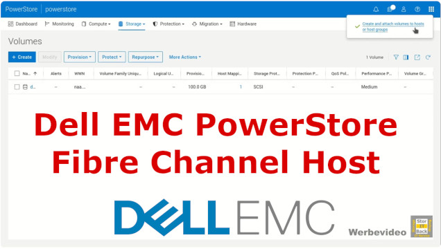 Dell EMC Powerstore Fibre Channel Host